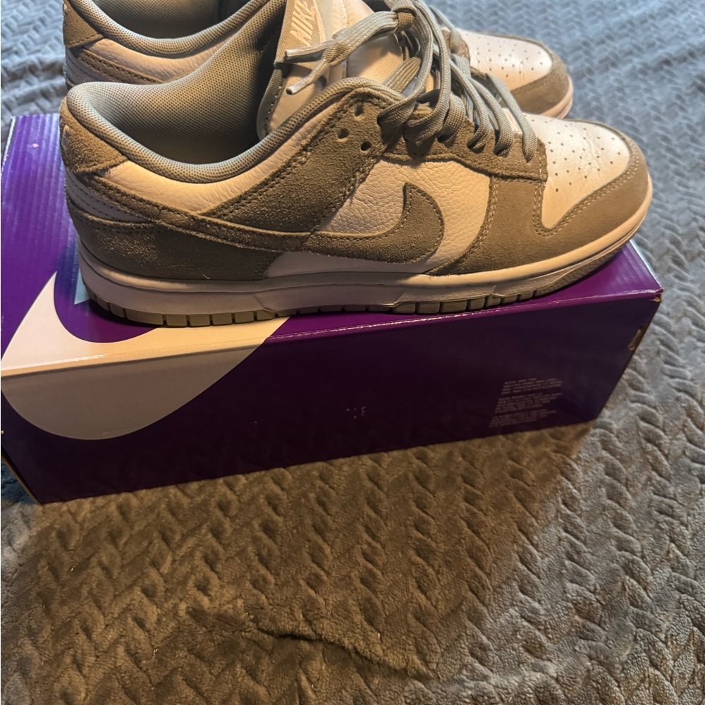 Nike dunks lows